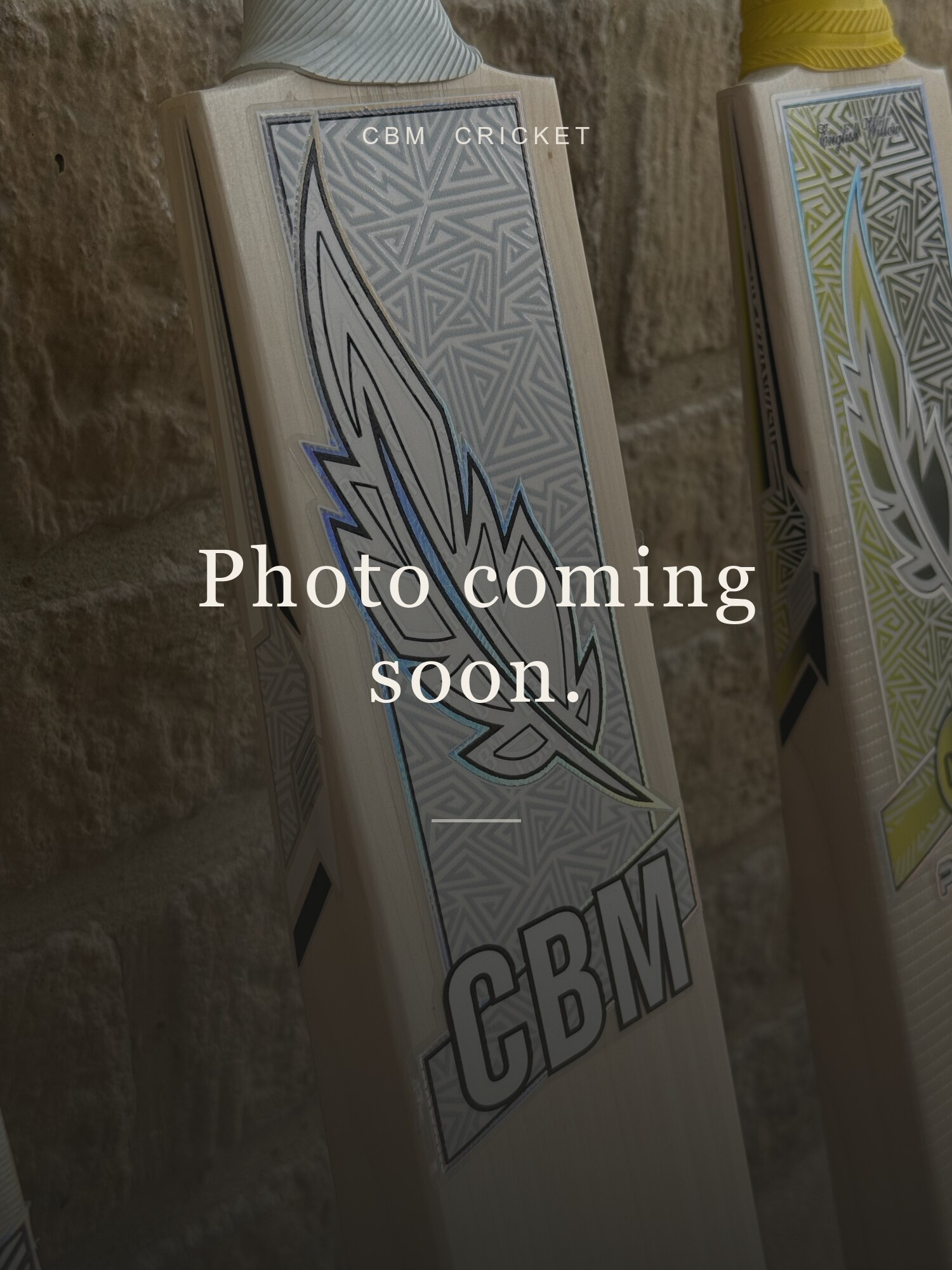 Placeholder: CBM Butterfly Willow photograph coming soon.